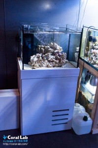 コーラルラボオリジナル　オーバーフロー水槽（Labo-Rium60）特集　「水換え不要」「初心者でも珊瑚が簡単に飼育できる」