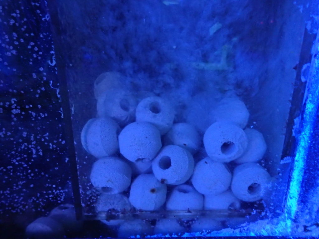 人気です ろ材 Nano Tech Bio Sphere コーラルラボ